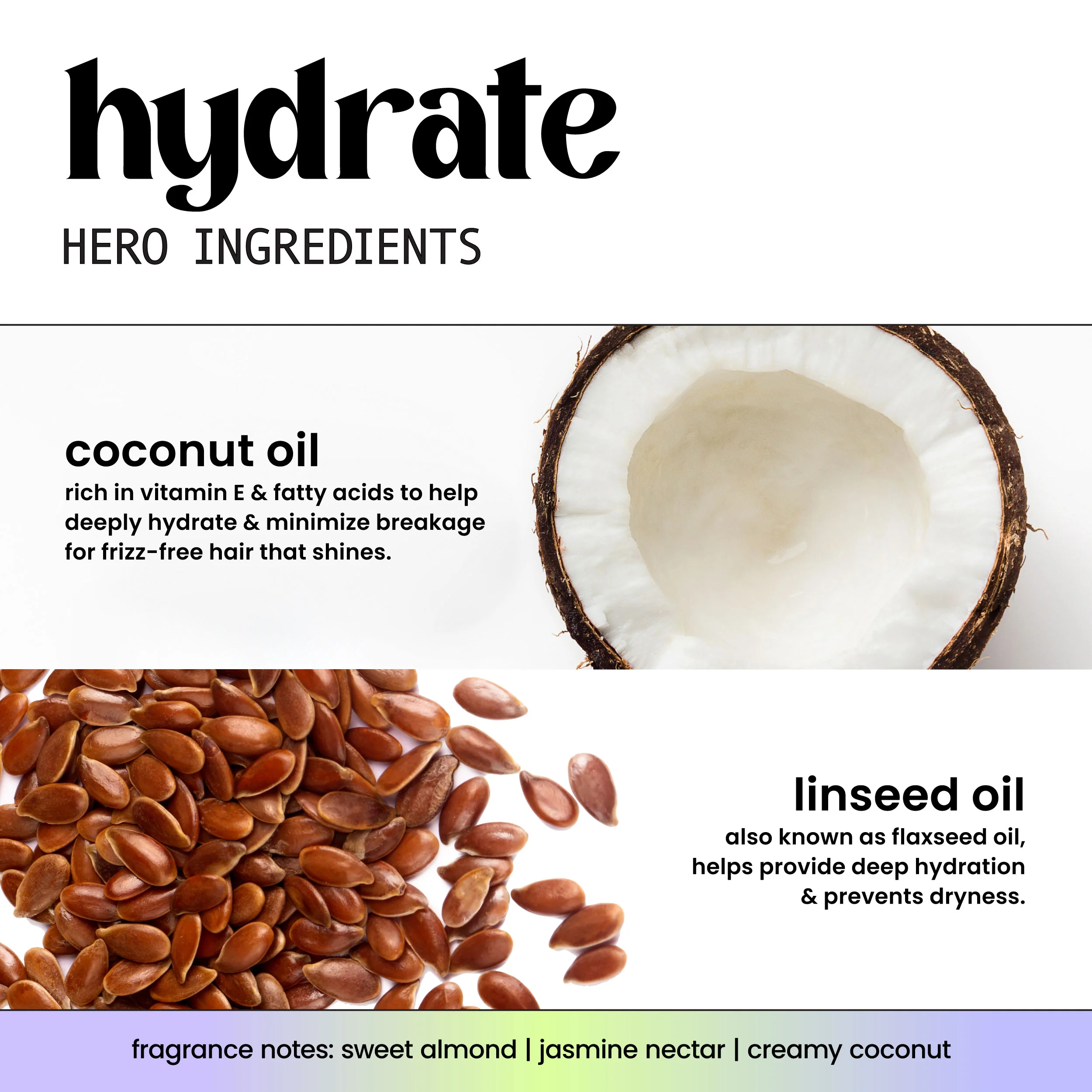 Hydrate + Coconut Oil Shampoo - Image 5