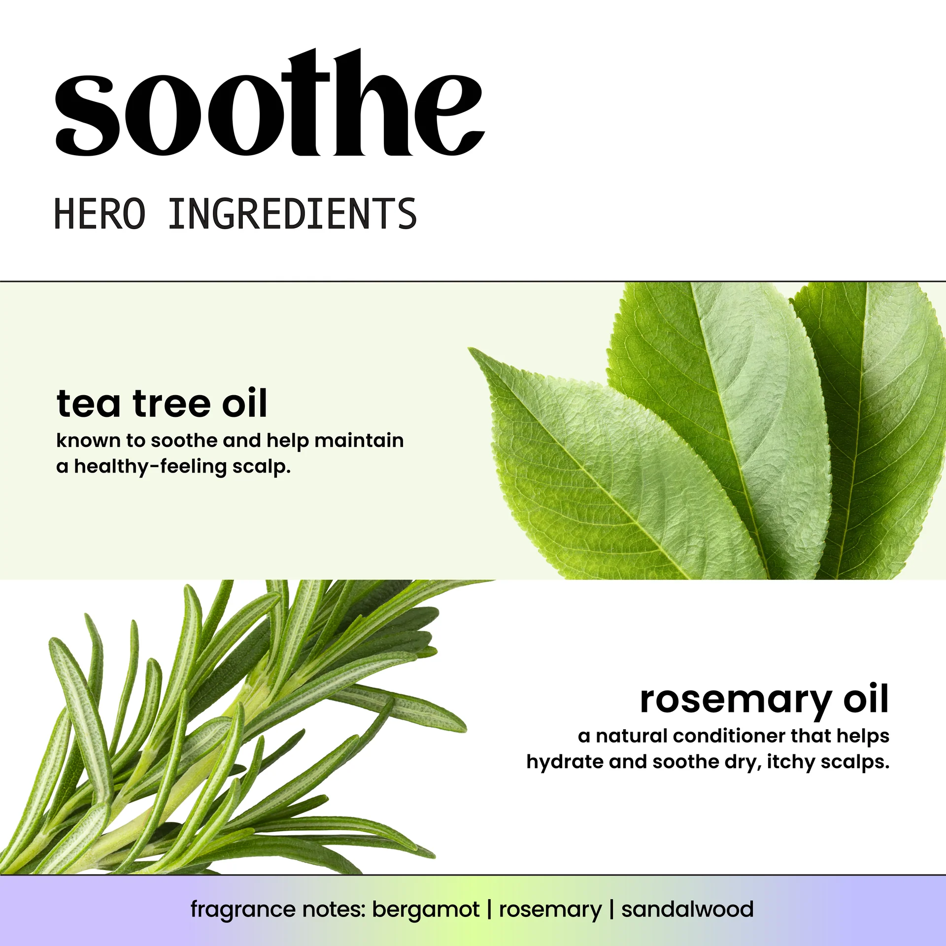 Soothe + Tea Tree Oil & Rosemary Scalp Care Deep Conditioner - Image 5